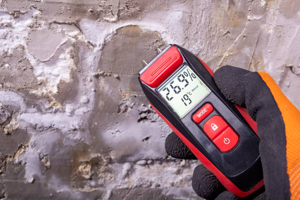 Best Office Mold Removal Services  in Reamstown, PA